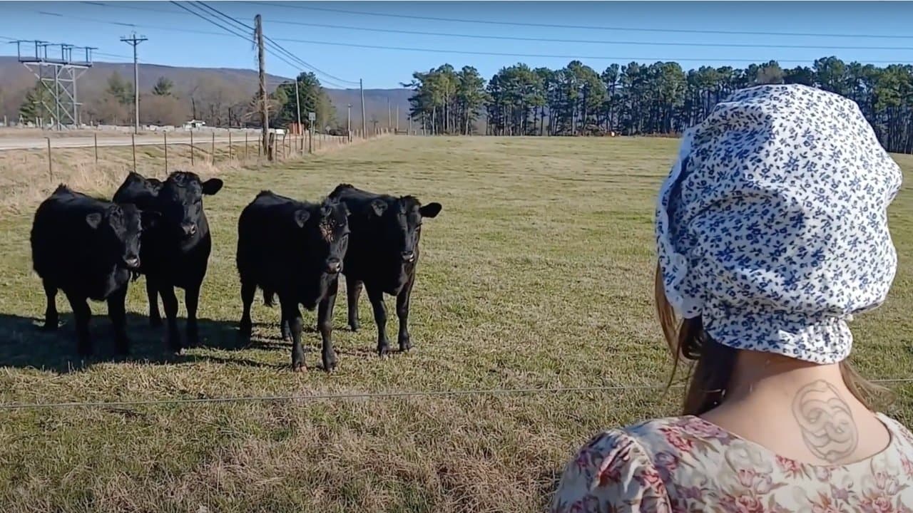 Little Bo Creep backdrop