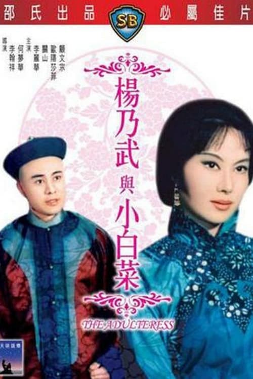 杨乃武与小白菜 (1963) movie poster