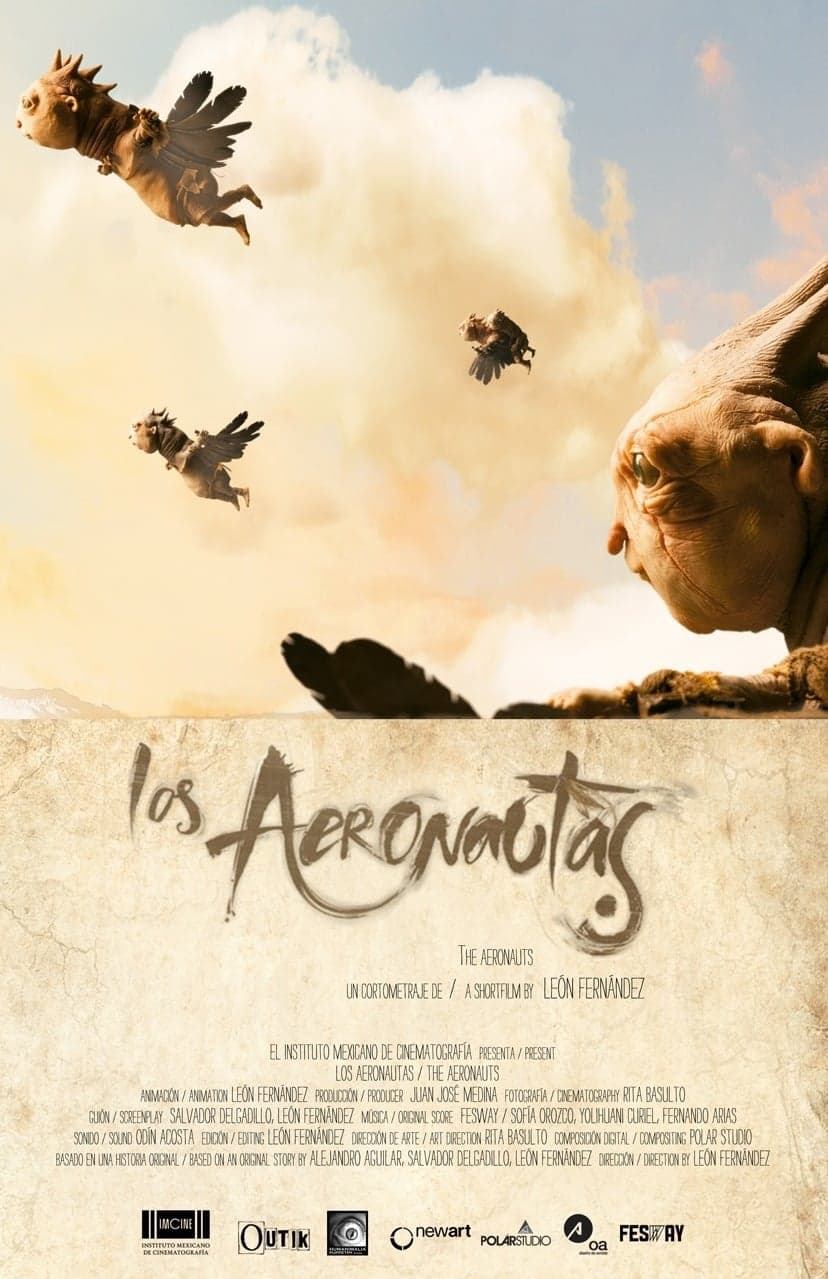 Los aeronautas (2016) movie poster